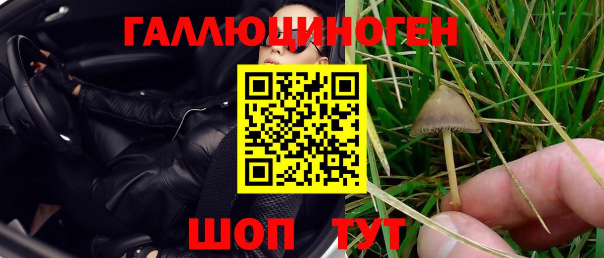 Похвистнево  Галлюциногенные грибы GOLDEN TEACHER  Вход с VPN 