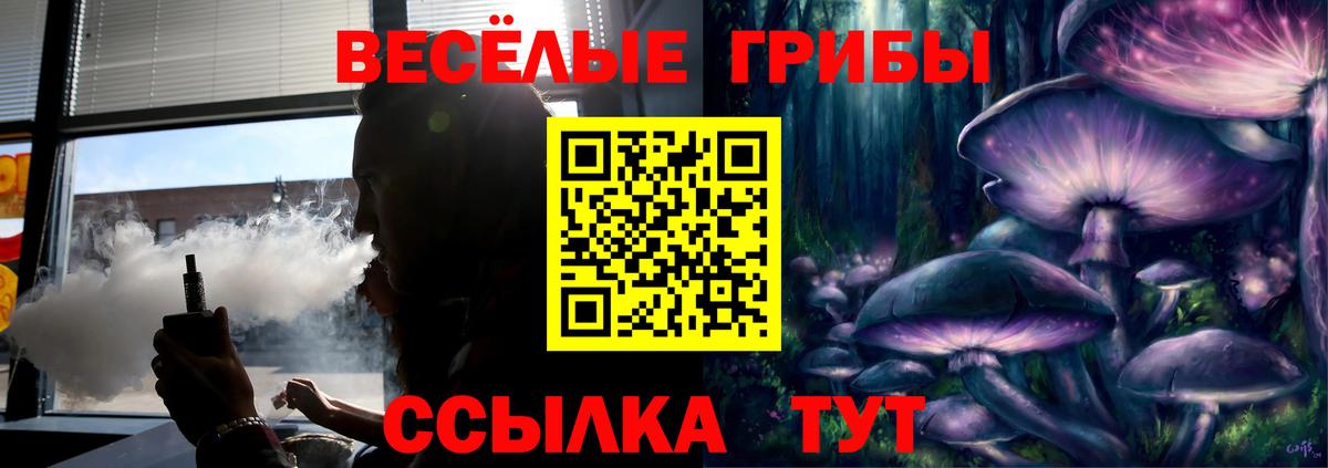 Псилоцибиновые грибы GOLDEN TEACHER Похвистнево